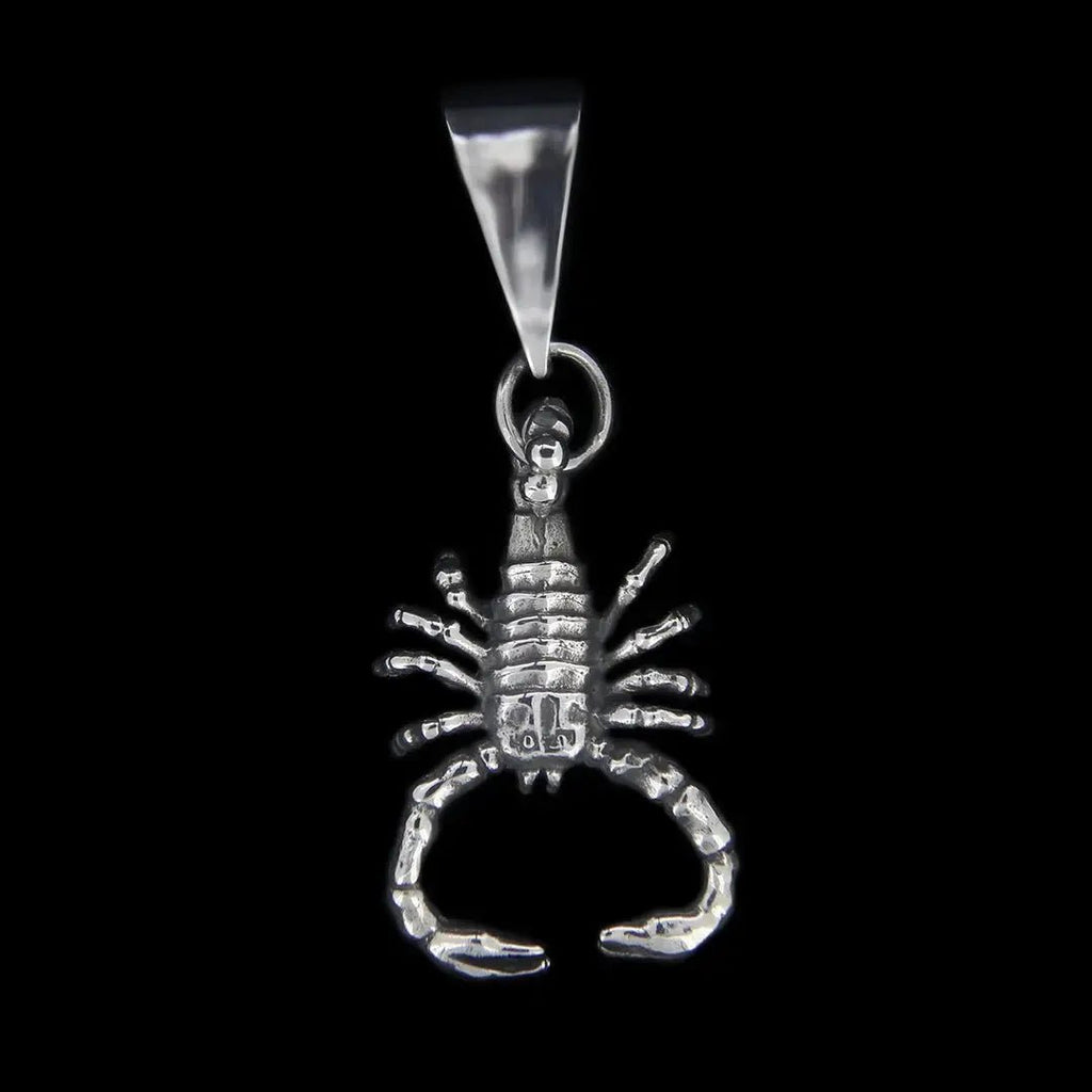 Scorpion Pendant Curiouser Collective